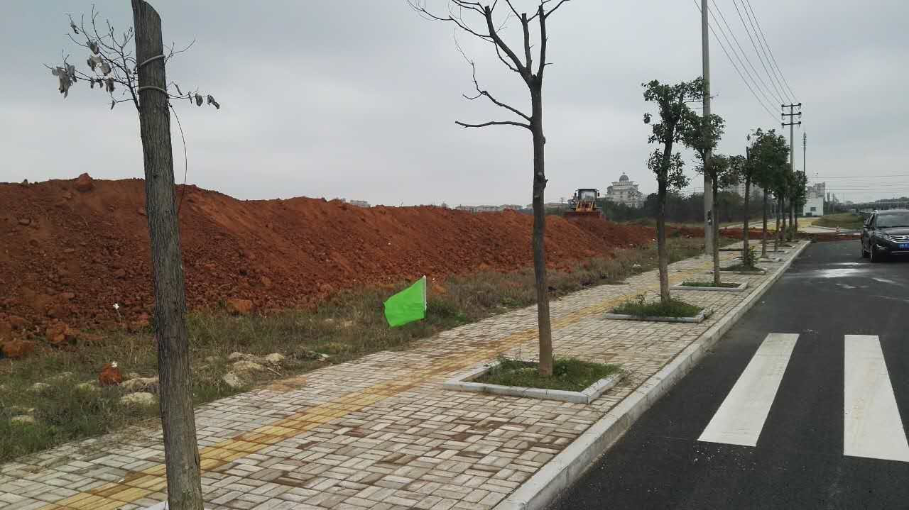 “药谷一条街”项目正式开工