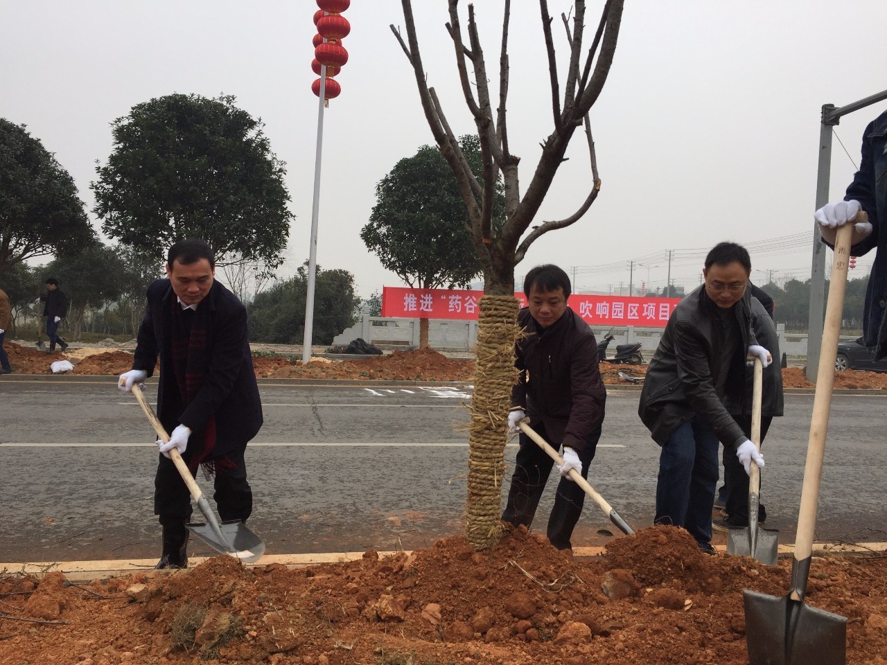 植树团拜贺新春 项目开工促发展