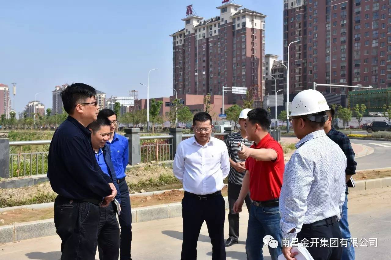 金开集团高管深入在建重大、重点项目进行调研