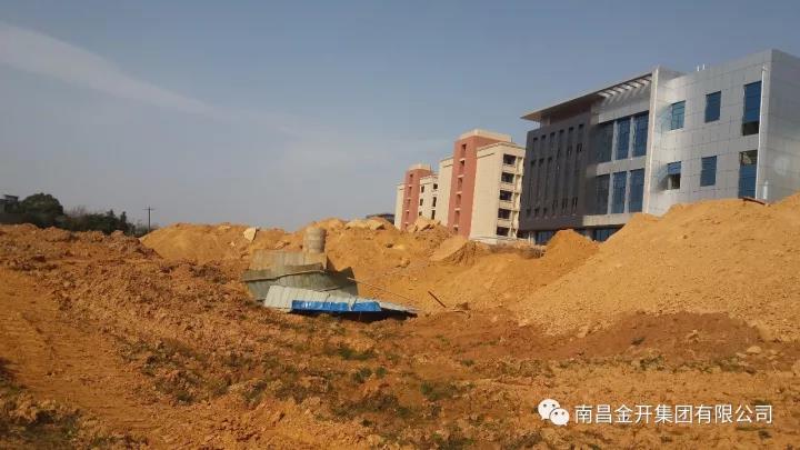 雷家路、曹家庄二路等四条道路完成施工图设计