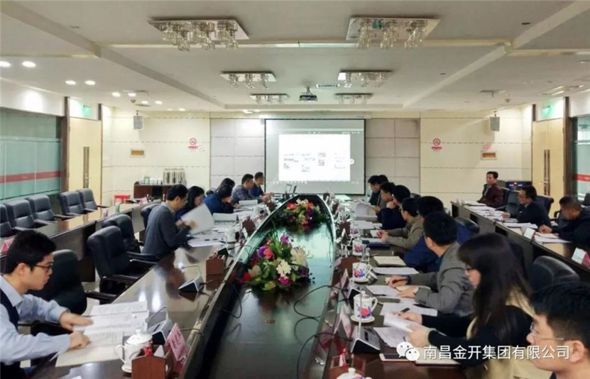 金开双创科技工业产业园项目召开规划方案比选会