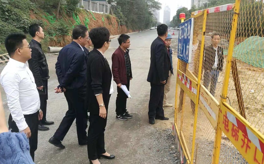 区管委会副主任王励现场调研黄家湖东路、菊圃路等项目城