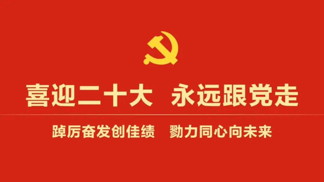 依托优势产业链 推进贸易市场化