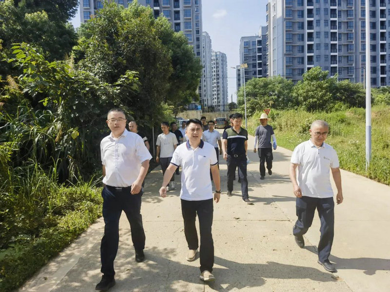 李茶根调研集团民生工程建设情况